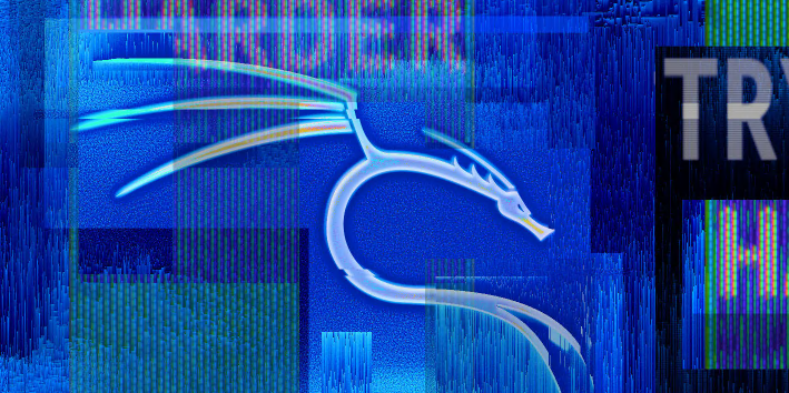 Kali Linux 安装手册（保姆手册）